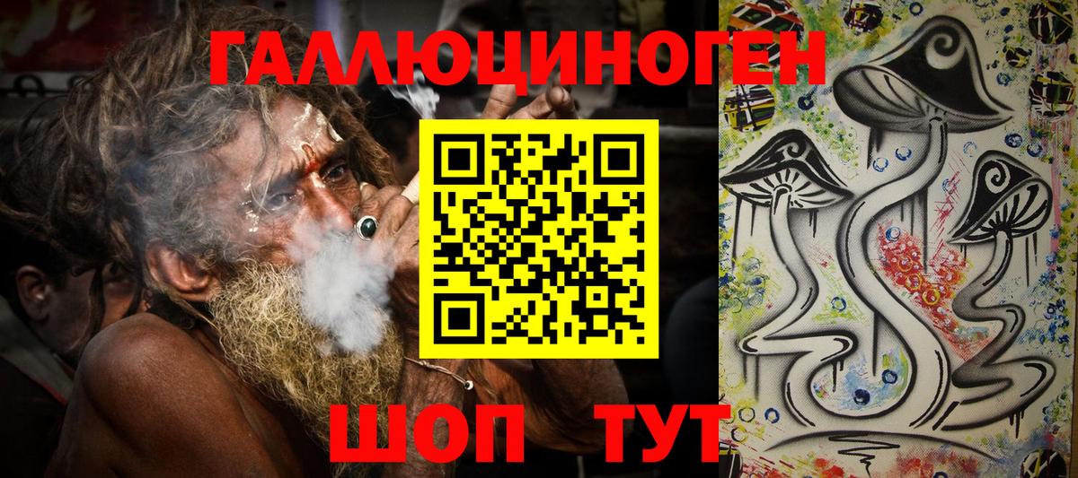 Псилоцибиновые грибы Cubensis Ачинск